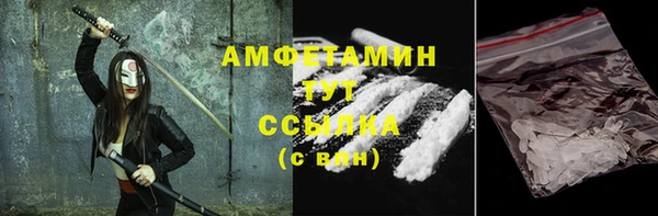 шишки Арсеньев