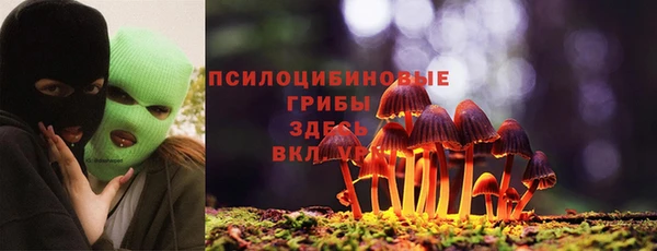 шишки Арсеньев