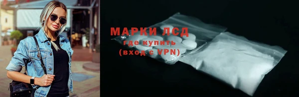 шишки Арсеньев