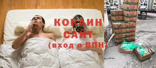 шишки Арсеньев