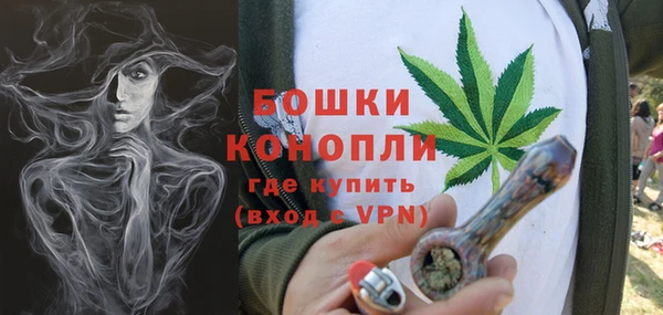 шишки Арсеньев
