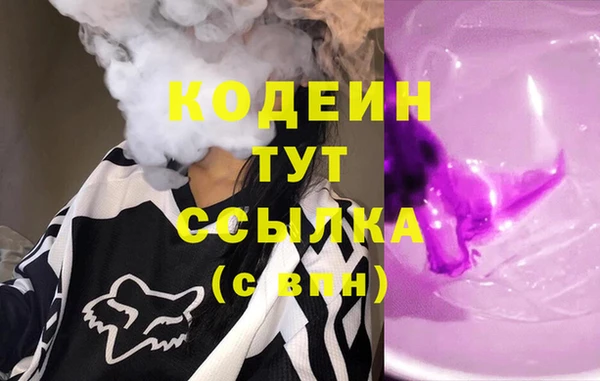 шишки Арсеньев