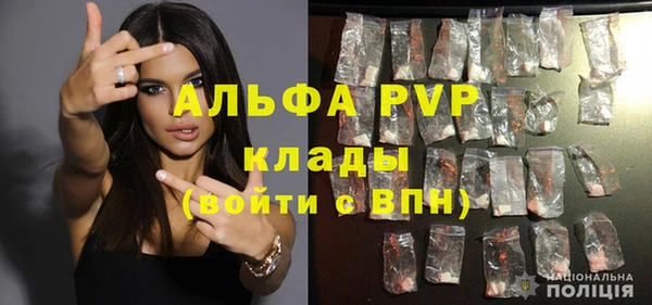 шишки Арсеньев