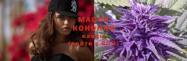шишки Арсеньев